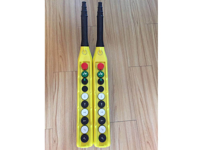 意大利GG手电门